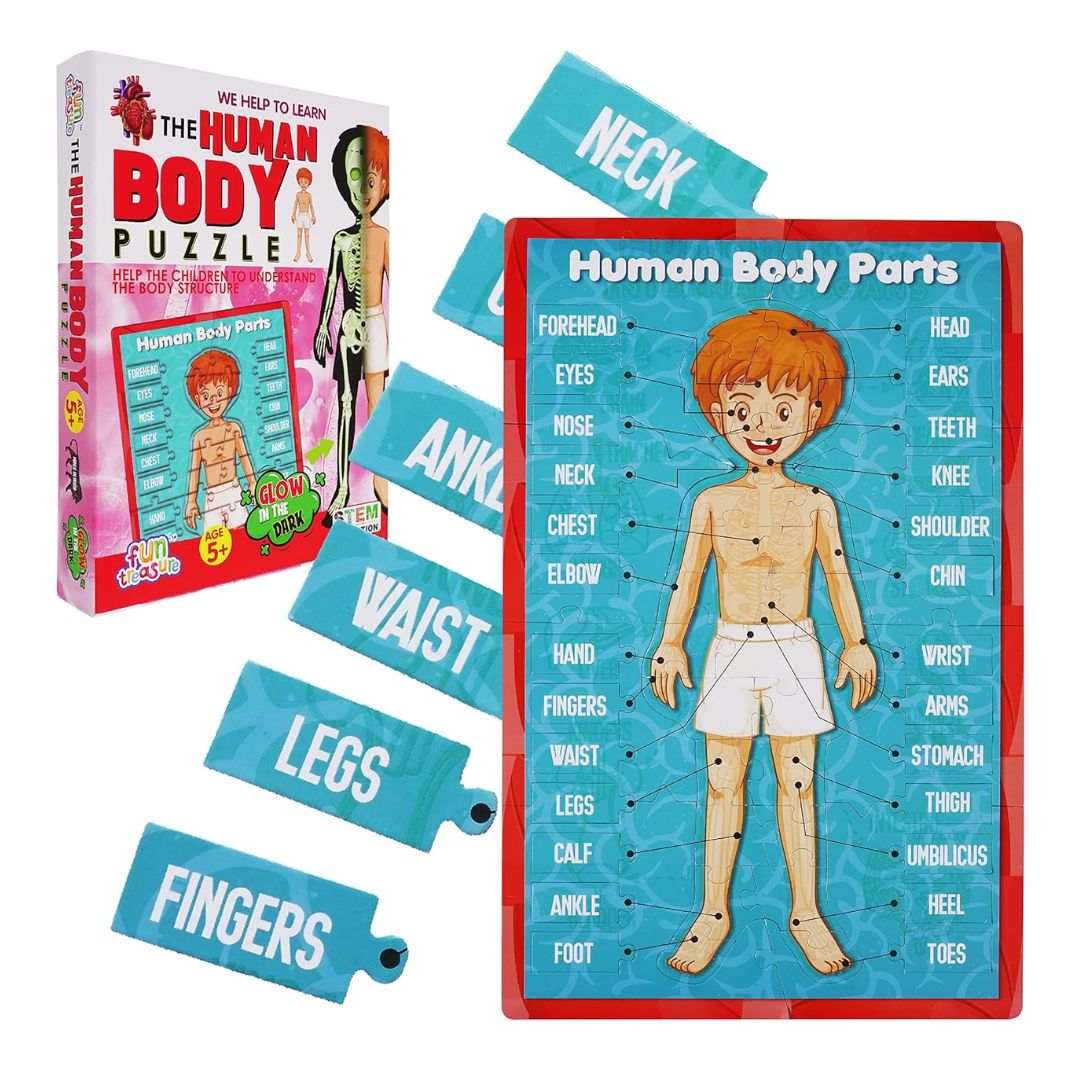 Glow-in-the-Dark Human Body Puzzle | Fun Educational Game with Body Parts Learning | Kids