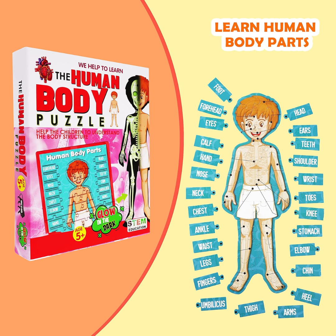 Glow-in-the-Dark Human Body Puzzle | Fun Educational Game with Body Parts Learning | Kids