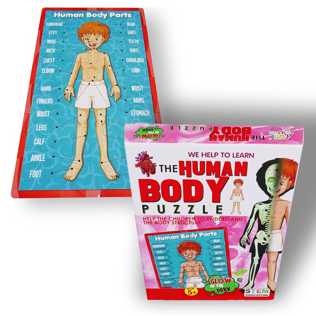Glow-in-the-Dark Human Body Puzzle | Fun Educational Game with Body Parts Learning | Kids