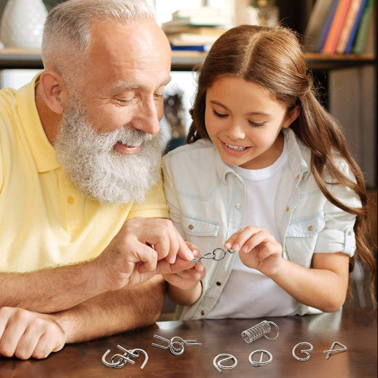 Brain Teasers Metal Puzzle 12 pcs