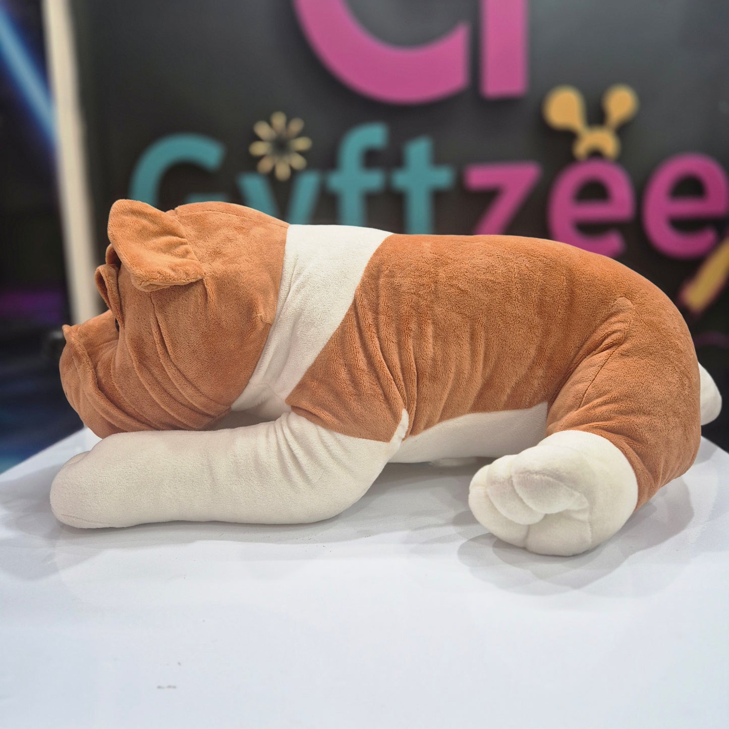 [ Random color] Bull Dog 60cm | Buy Online Best Quality Soft Toys India