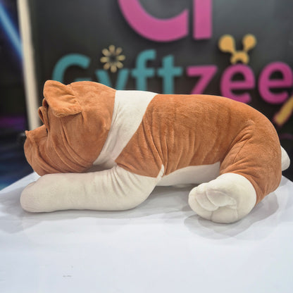 [ Random color] Bull Dog 60cm | Buy Online Best Quality Soft Toys India