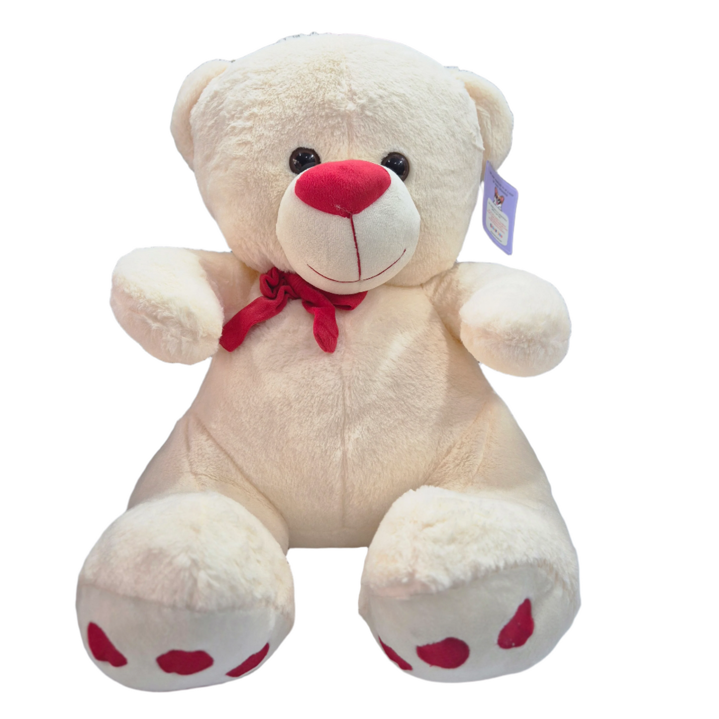 [ Random color] Champ Bear 55cm | Buy Online Best Quality Soft Toys India | Noida