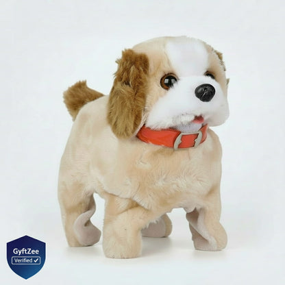 Flipping & Walking Dog [1+ year]