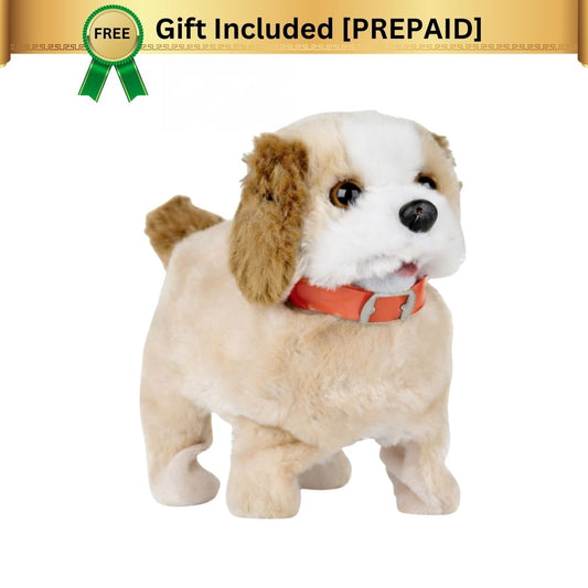 Flipping & Walking Dog [1+ year]