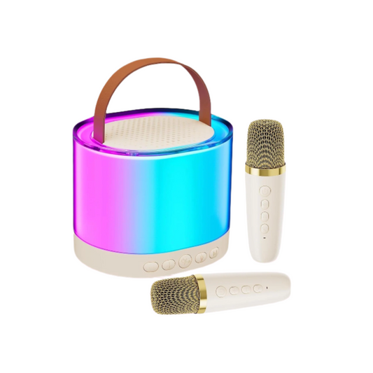 Portable Bluetooth Mini Karaoke Speaker | 2 Mic