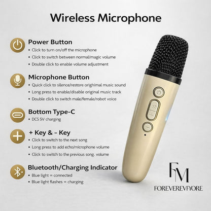 [Return Gift, Pack of 5] [Assorted] Bluetooth Mini Karaoke | Mic [5-12 years]