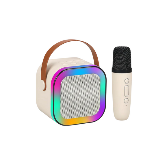 Portable Bluetooth Mini Karaoke Speaker | 1 Mic (Random color)