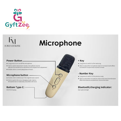 Portable Bluetooth Mini Karaoke Speaker | 1 Mic [Random color]