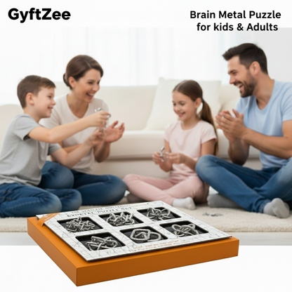 Brain Teasers Metal Puzzle 6 pcs