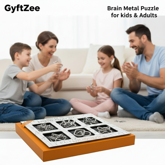 Brain Teasers Metal Puzzle 6 pcs