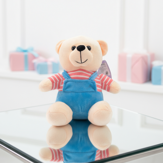 [Random color] PB DG Bear 30cm | Soft Toy