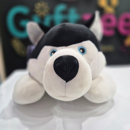 [Random color] Lazy Husk 60cm | Buy Online Best Quality Soft Toys India