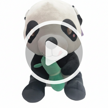 [Random color] Premium Soft Hungry Panda 55cm | [Kids 0-12 years]