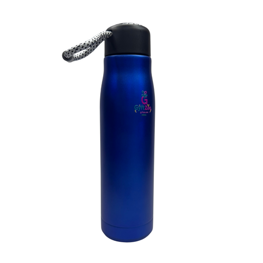 550ml Stainless Steel Water Bottle (with gift paper bag) – Durable, Sleek & Multi-Purpose