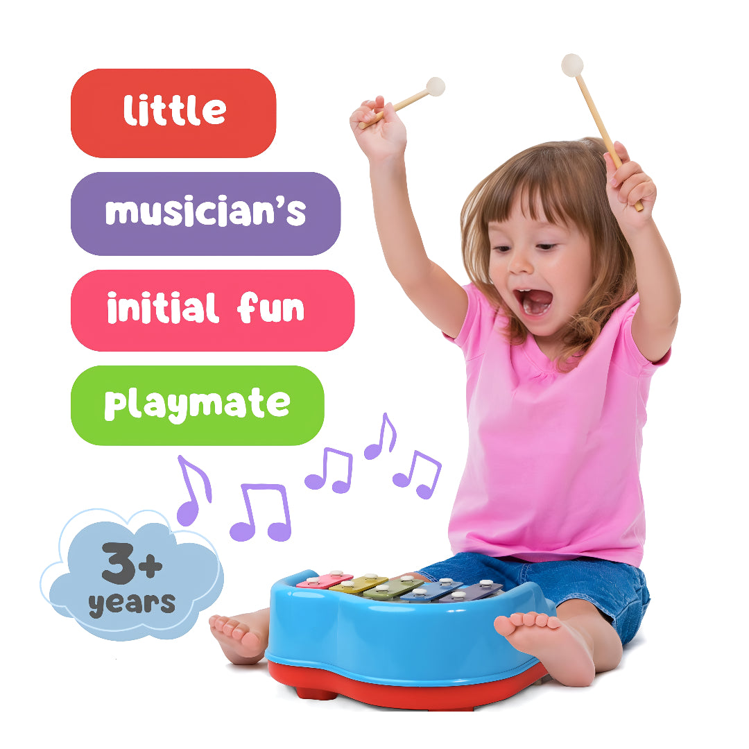 Small Xylophone for Kids - Play & Learn Music Fun Instrument